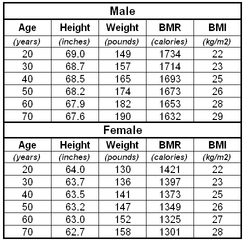 How To Increase Body Fat