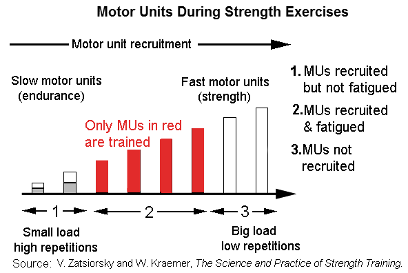 Motor Units